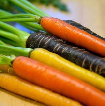 Multi-colored Organic Carrots for Photo Blogs